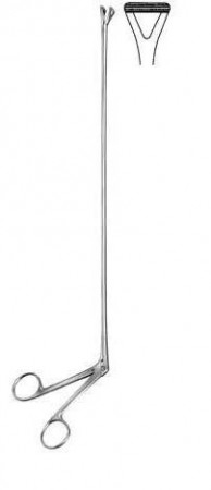 Intestines & Stomach